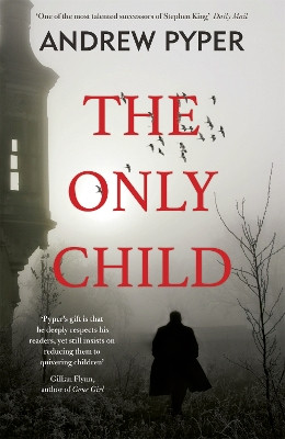 The Only Child by Andrew Pyper 9781409149217 [USED COPY]