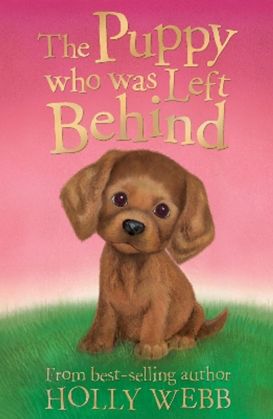 The Puppy who was Left Behind by Holly Webb 9781847153739 [USED COPY]