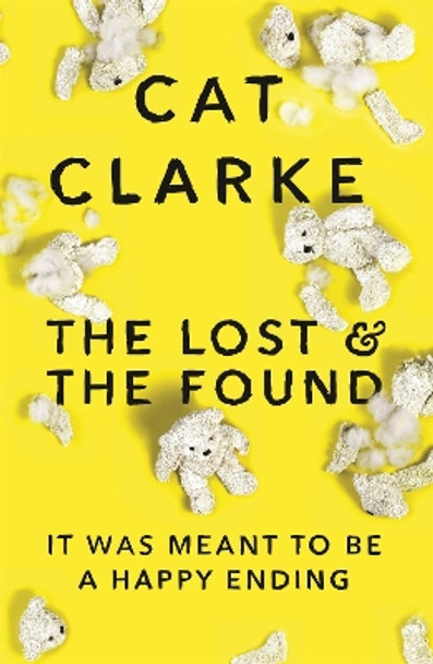 The Lost and the Found by Cat Clarke 9781848663954 [USED COPY]