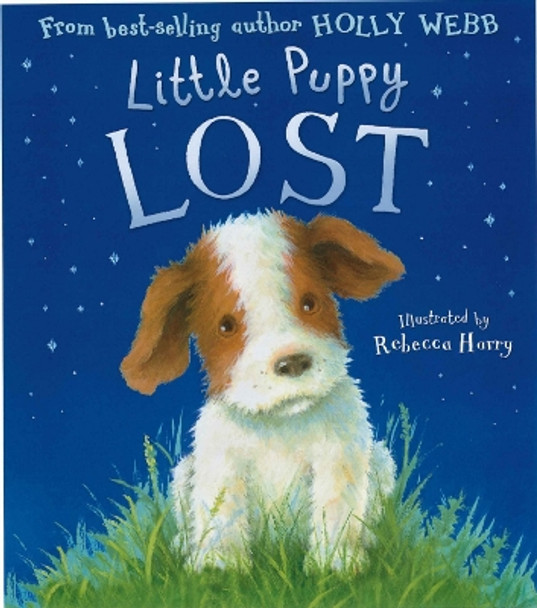 Little Puppy Lost by Holly Webb 9781848959101 [USED COPY]