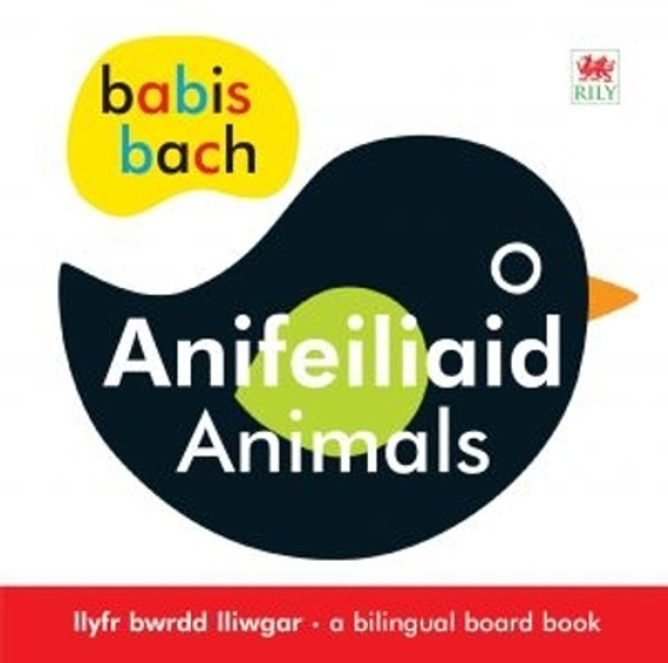 Babis Bach: Anifeiliaid/Animals by Luned Whelan 9781849672641 [USED COPY]