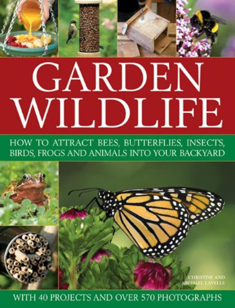 Garden Wildlife by Christine Lavelle 9781846817861 [USED COPY]