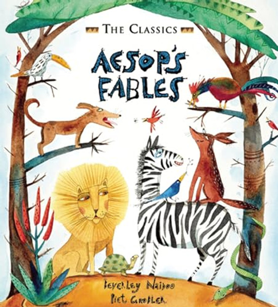 Aesop's Fables by Beverley Naidoo 9781847805300 [USED COPY]