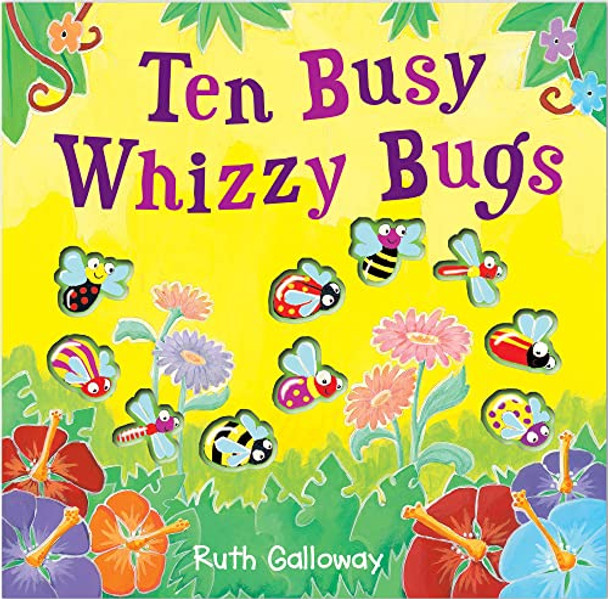 Ten Busy Whizzy Bugs by Ruth Galloway 9781848571600 [USED COPY]