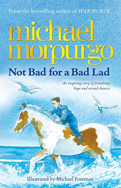 Not Bad for a Bad Lad by Michael Morpurgo 9781848773202 [USED COPY]