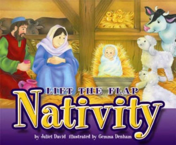 Lift the Flap Nativity by Juliet David 9781859856840 [USED COPY]