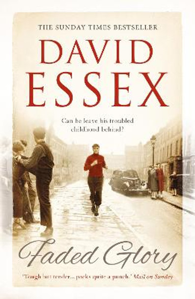 Faded Glory by David Essex