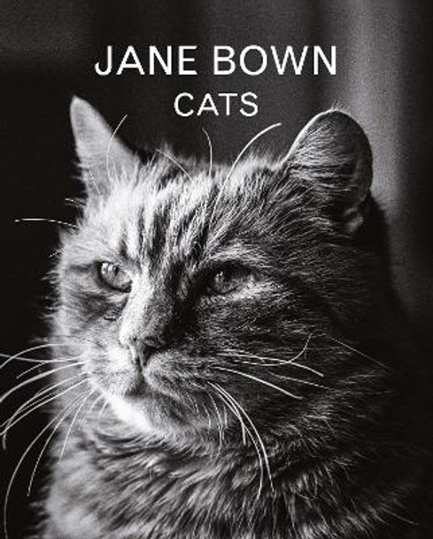 Jane Bown: Cats by Jane Bown