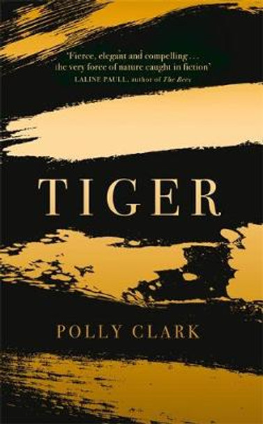 Tiger by Polly Clark