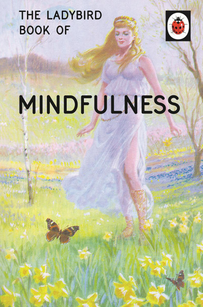 The Ladybird Book of Mindfulness by Jason Hazeley 9780718183523 [USED COPY]