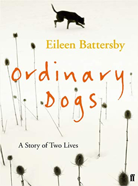 Ordinary Dogs by Eileen Battersby 9780571277834 [USED COPY]