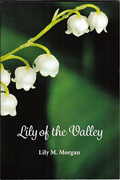 Lily and the Valley by M. Morgan 9780906821824 [USED COPY]