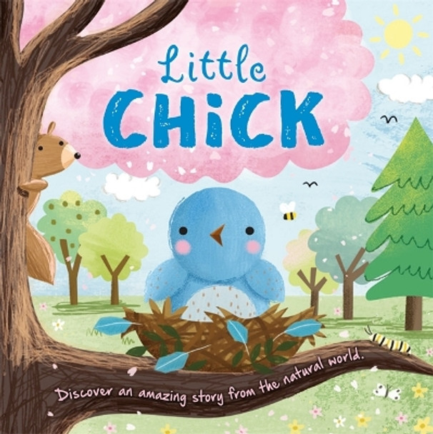 Little Chick by Igloo Books 9781839030727 [USED COPY]