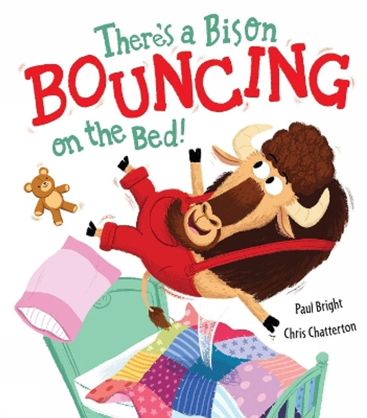 There's a Bison Bouncing on the Bed! by Paul Bright 9781848692350 [USED COPY]