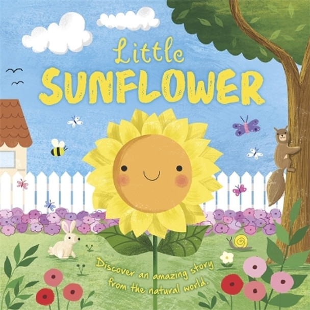 Little Sunflower by Igloo Books 9781839030710 [USED COPY]