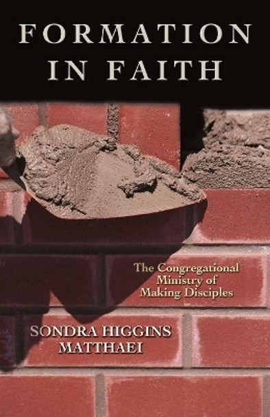 Formation in Faith: The Congregational Ministry of Making Disciples by Sondra Higgins Matthaei 9780687649730 [USED COPY]