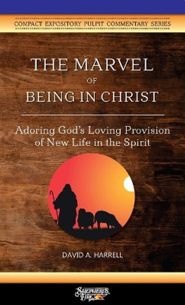 The Marvel of Being in Christ: Adoring God's Loving Provision of New Life in the Spirit by David a Harrell 9781734345230 [USED COPY]