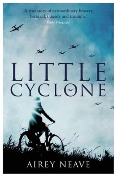 Little Cyclone by Airey Neave 9781849549608