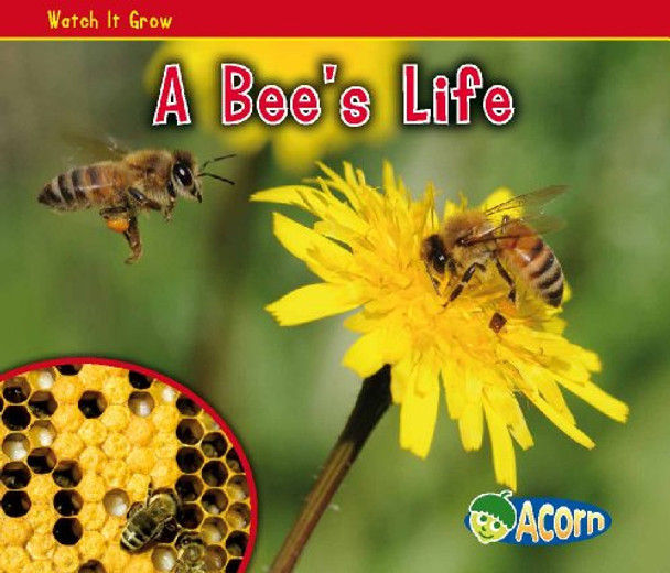 A Bee's Life by Nancy Dickmann 9780431195360 [USED COPY]