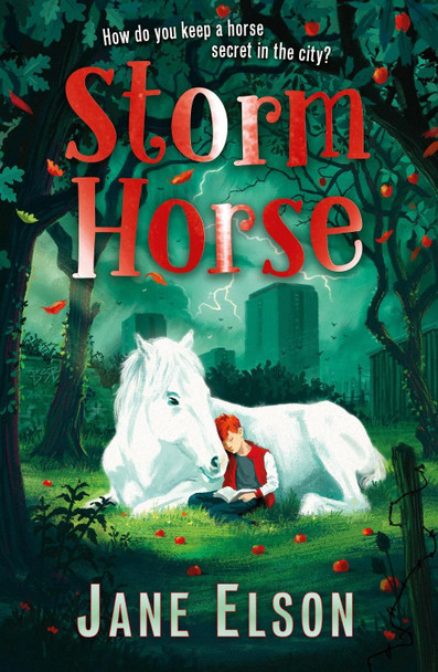 Storm Horse by Jane Elson 9781444955699 [USED COPY]