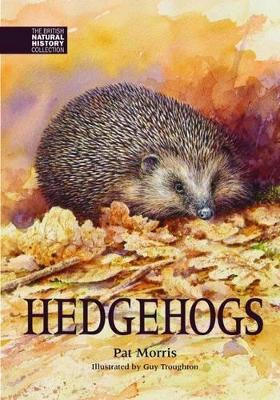 Hedgehogs Pat Morris 9781873580905