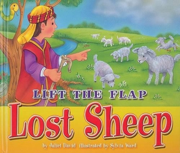 Lost Sheep by Juliet David 9780825473883 [USED COPY]