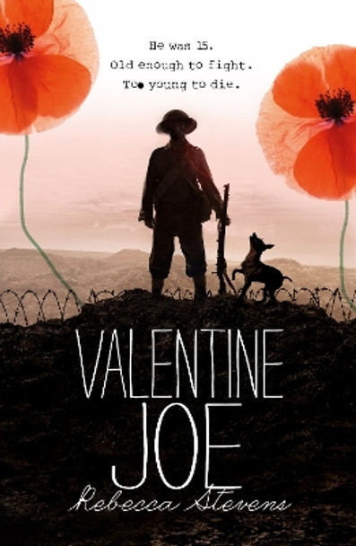 Valentine Joe by Rebecca Stevens 9781909489608 [USED COPY]