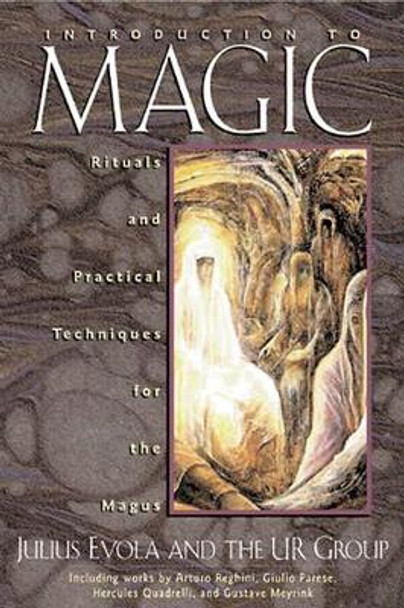 Introduction to Magic: Rituals and Practical Techniques for the Magus by Julius Evola 9780892816248 [USED COPY]