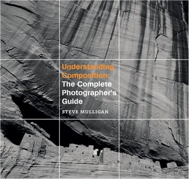 Understanding Composition: The Complete Photographers' Guide by Steve Mulligan 9781861085344 [USED COPY]