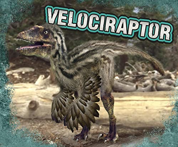 Velociraptor by Tammy Gagne 9781474752268 [USED COPY]