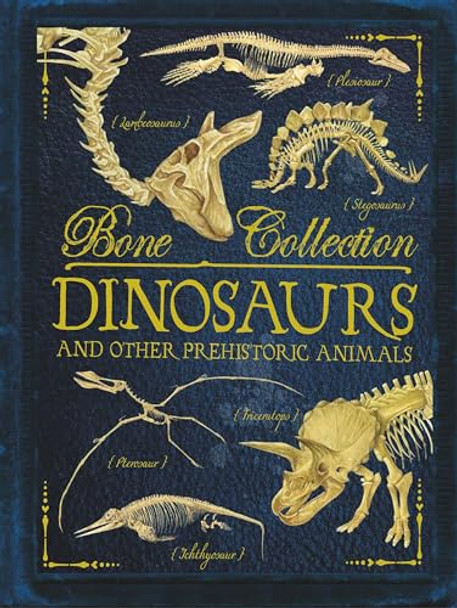 Bone Collections: Dinosaurs by Camilla de le Bedoyere 9781784931070 [USED COPY]