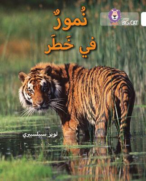 Tigers in Danger: Level 10 (Collins Big Cat Arabic Reading Programme) by Louise Spilsbury