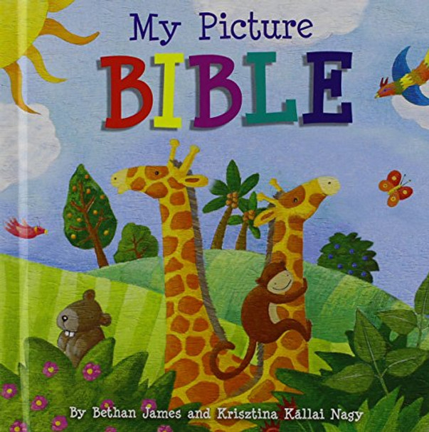 My Picture Bible by James B 9781853456251 [USED COPY]