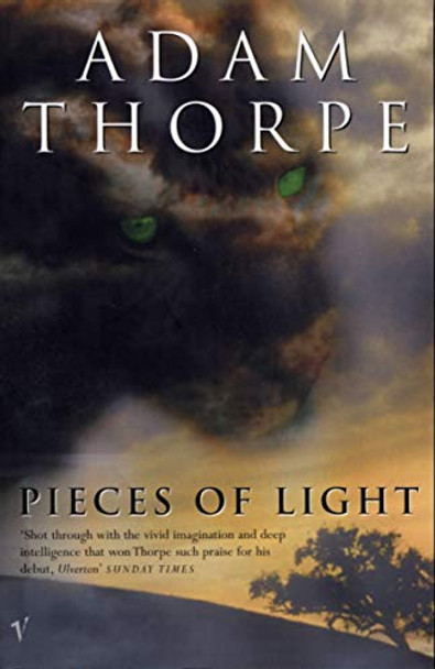 Pieces Of Light by Adam Thorpe 9780099272694 [USED COPY]