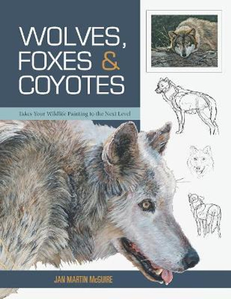 Wolves, Foxes & Coyotes (Wildlife Painting Basics) by Jan Martin McGuire 9781635610444