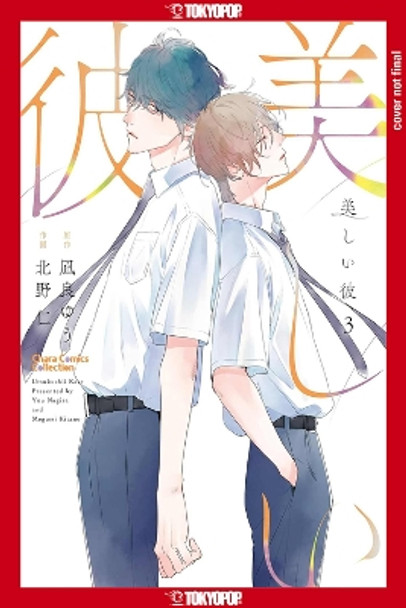 My Beautiful Man, Volume 3 (Manga): Volume 3 Yuu Nagira 9781427878502