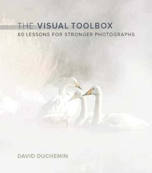 The Visual Toolbox: 60 Lessons for Stronger Photographs by David DuChemin