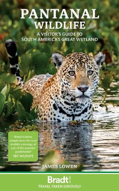 Pantanal Wildlife: A visitor’s guide to South America’s Great Wetland James Lowen 9781784777135