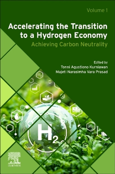 Accelerating the Transition to a Hydrogen Economy: Achieving Carbon Neutrality Tonni Agustiono Kurniawan 9780443140396