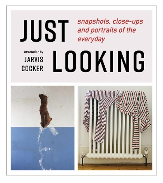 JUST LOOKING: snapshots, close-ups and portraits of the everyday Julian Rothenstein 9781739597641