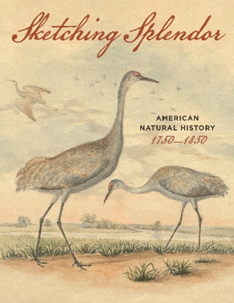 Sketching Splendor: American Natural History, 1750-1850 Anna Majeski 9781606180402