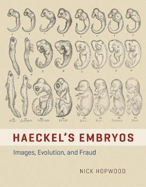 Haeckel's Embryos: Images, Evolution, and Fraud by Nick Hopwood