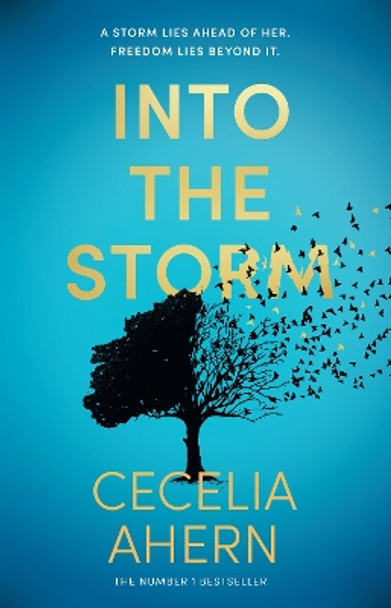 Into the Storm Cecelia Ahern 9780008738358