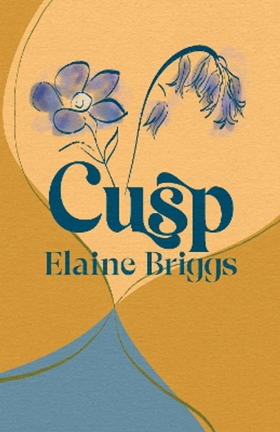 Cusp Elaine Briggs 9781788641739