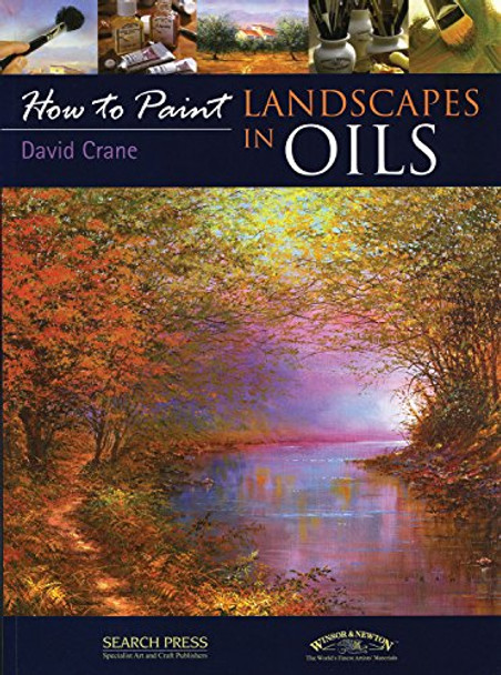 How to Paint: Landscapes in Oils by David Crane 9781844484201 [USED COPY]