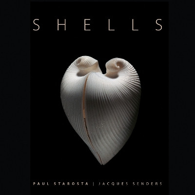 Shells Jacques Senders 9791254600825