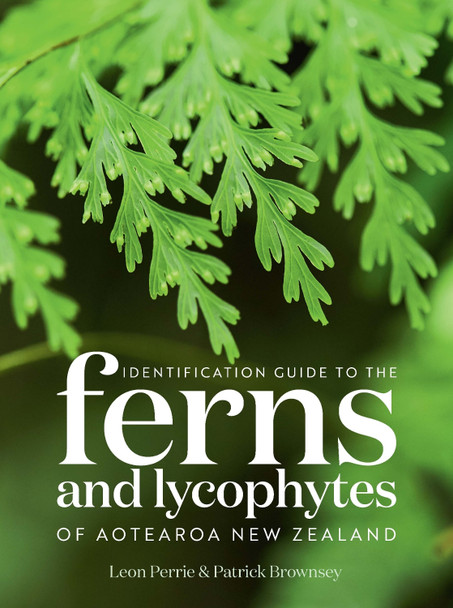 Identification Guide to the Ferns and Lycophytes of Aotearoa NZ Leon Perry 9781991165558