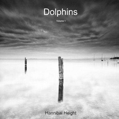 Dolphins - Volume 1 by Hannibal Height 9780244080235