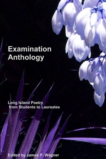 Examination Anthology by James P Wagner 9780557316700