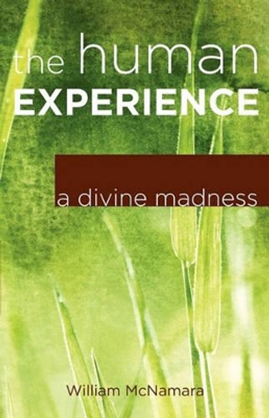 The Human Experience: A Divine Madness by William McNamara 9780984199129